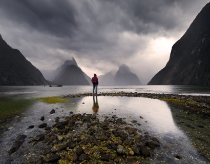 Road Trip: South Island Discovery
