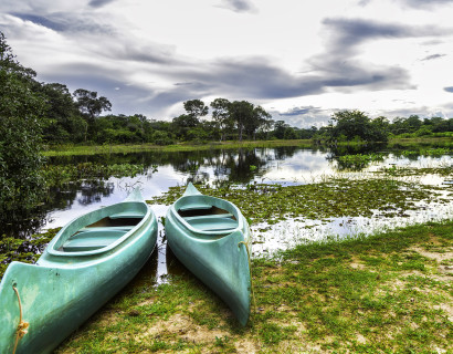 Brazil’s Wildlife & Natural Wonders