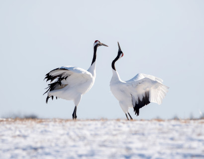Japan: ursprüngliches Hokkaido und Toya-See