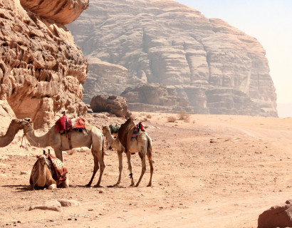 Highlights of Jordan: Desert, Ruins and Beach