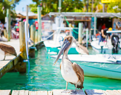 Florida: Roadtrip durch den Sunshine State