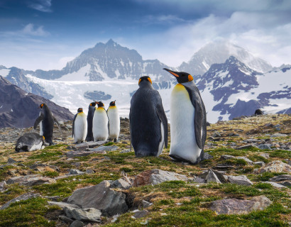 Explorers and Kings: Falklands, South Georgia, and Antarctica