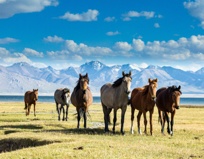 Usbekistan & Kirgistan: Der Zauber der Seidenstraße