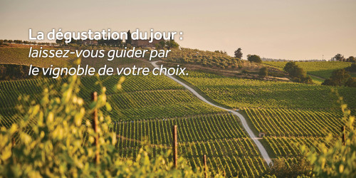 Dégustation de vin