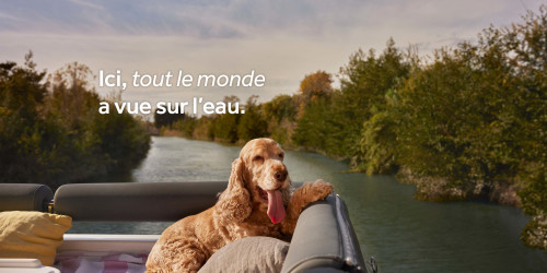 Vacances avec votre chien