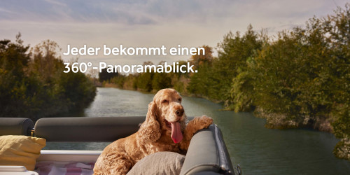 Ein Hund auf dem Sonnendeck