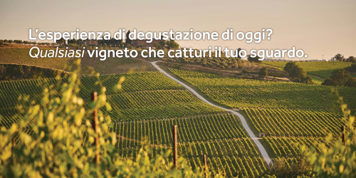 Vigneto