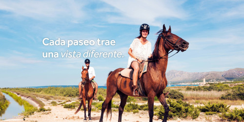 Paseos a caballo