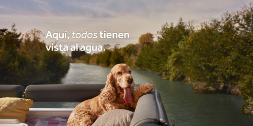 Un perro en la cubierta del barco
