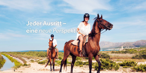 Reiten in der Camargue