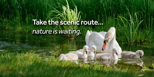 Take the scenic route... nature is waiting.