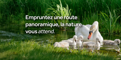 La nature vous attend
