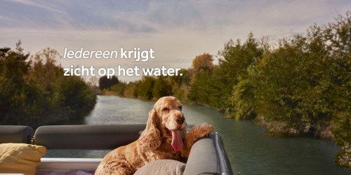 Een hond op het dek van de boot