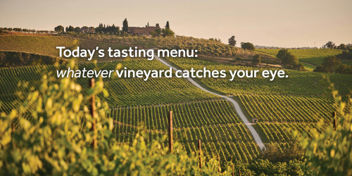 Today's tasting menu: whatever vineyard catches your eye