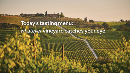 Wine Tasting Holidays