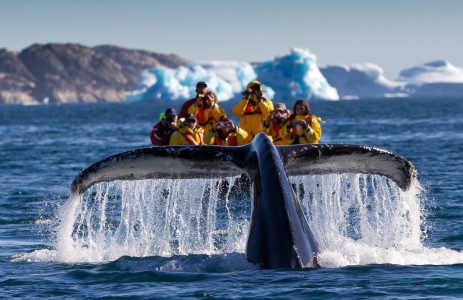 Park Inn By Radisson Aberdeen