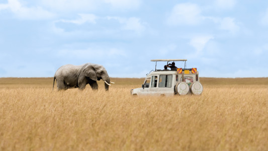 Best Time to Visit Kenya