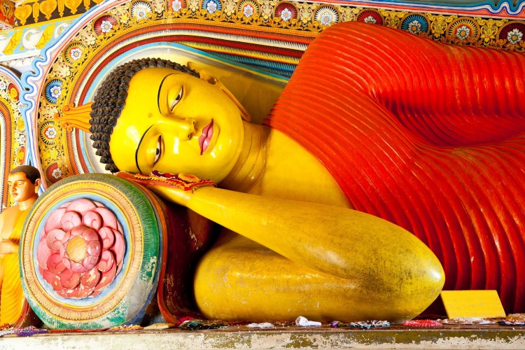 Sri Lanka Tour