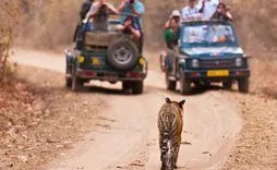 India Vacation