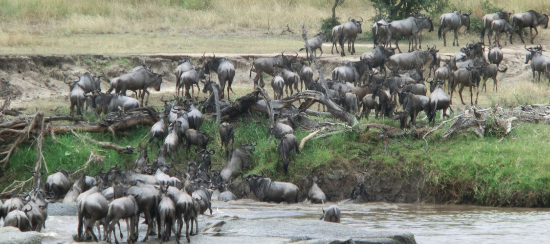 Capture This! Creative Delights for Your Curated Vacations