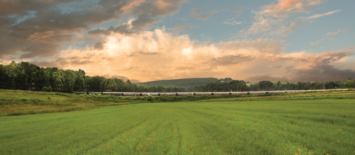 All Aboard! Luxury Train Ride in The Peruvian Andes