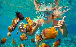 Australia Snorkelling