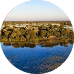 Botswana Reise