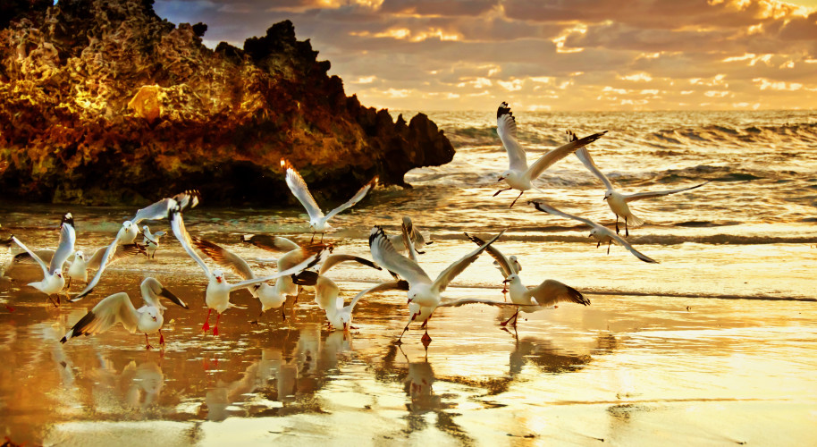 Enchanting Travels Australia Tours - Two Rocks Sunset - Perth Australia - Best trips to take in 2020