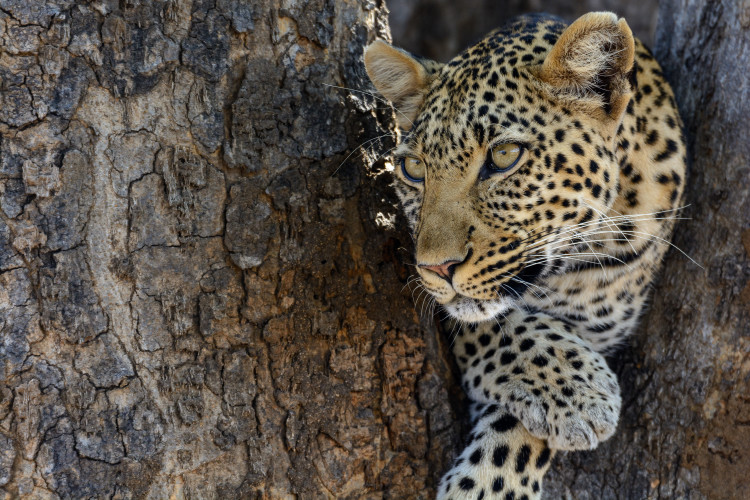 Tanzania Tour