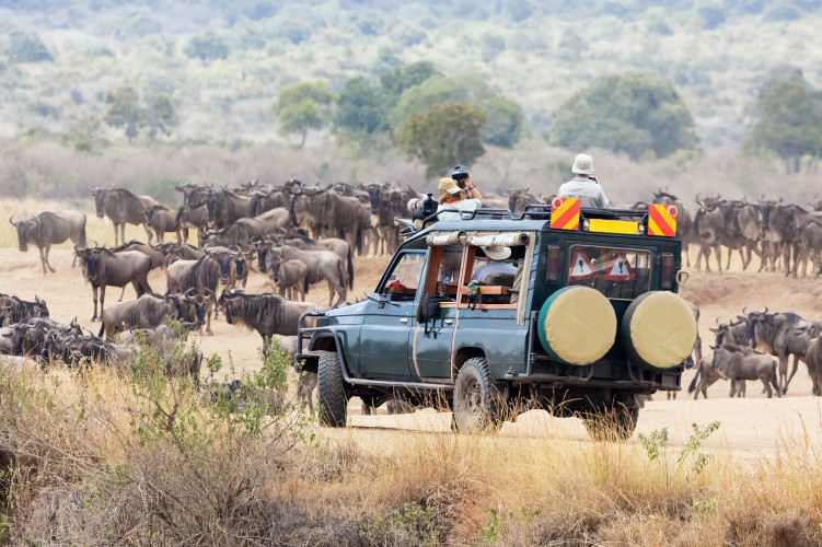 Kenya Safari