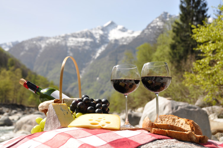 Your Guide to Europe’s Best Wine Regions