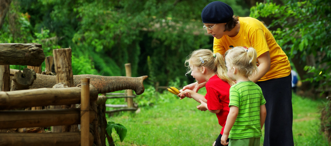 We recommend: Visit an elephant sanctuary or orphanage in Asia or Africa and learn more about how organizations care for these gentle giants.