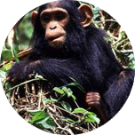 Uganda Reise