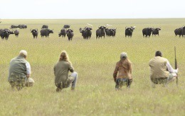 Tanzania Tour