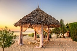 Tanzania Tour