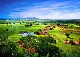 Tanzania Tour