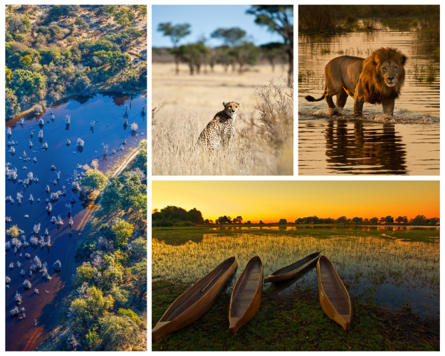 Beste Reisezeit Okavango Delta