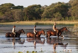 Africa Tour