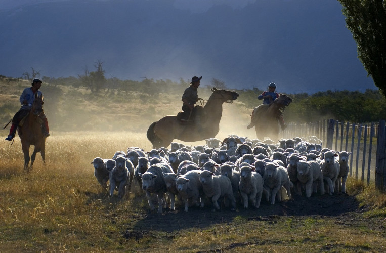 Patagonien Reise