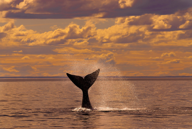 Patagonien Reise