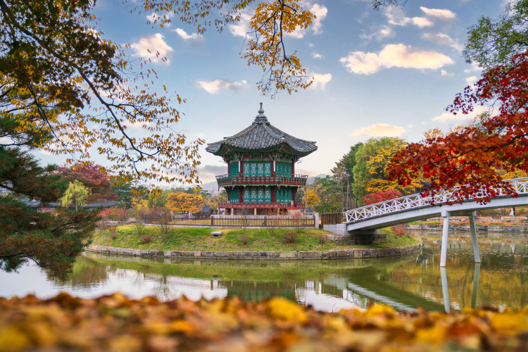 Travel For Good: Creating Change Through Education