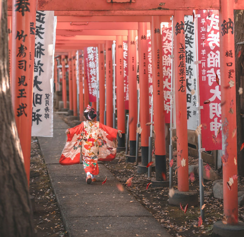 red chinese ark Asia
