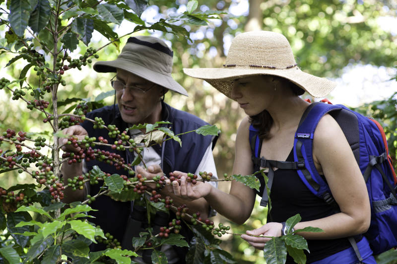 Highlights of Costa Rica: Pura Vida