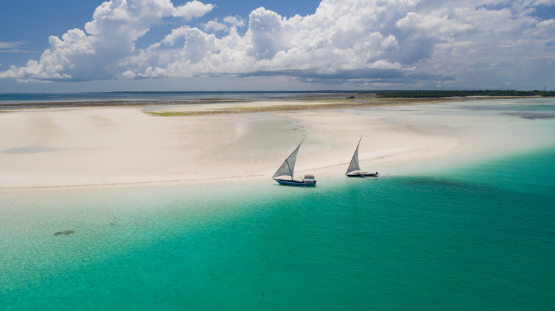 Kenya and Tanzania: Safari and Beach