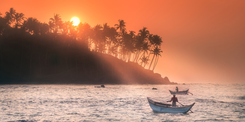 silhouette-coconut-palm-sun-lights-true