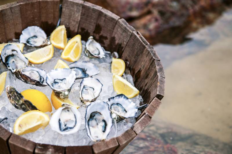 Fresh oysters on ice at the beach during the day