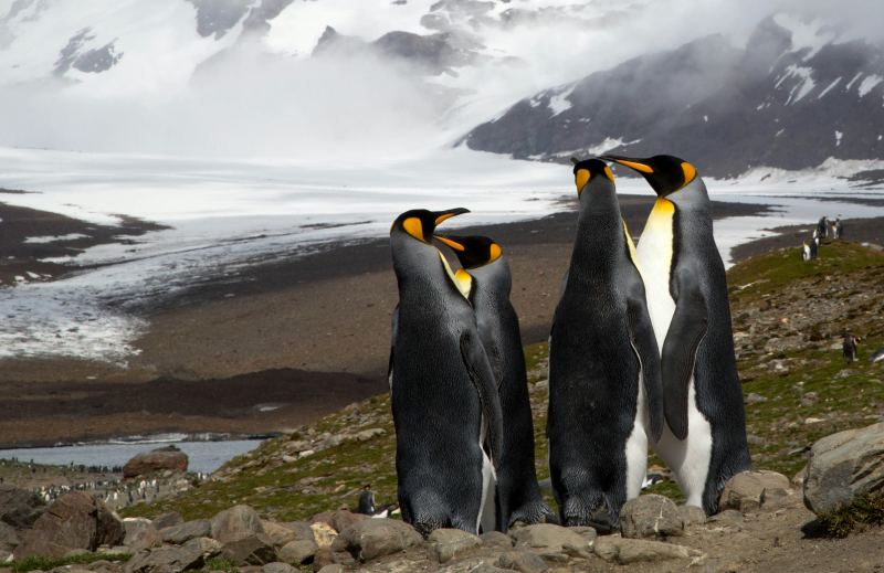 Polargebiete Reisen