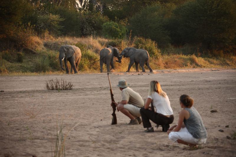 Tansania: Safaris im wilden Süden mit Inselauszeit