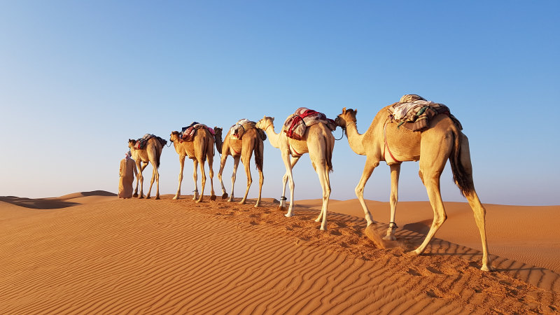 Oman: Berge, Festungen und Wüstenzauber