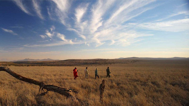Kenia und Seychellen: exklusive Safari-Erlebnisse und Insel-Auszeit